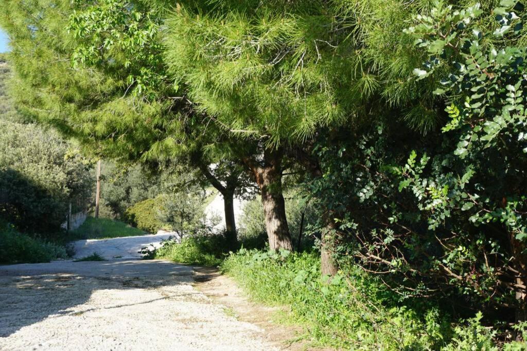 Cosy Guest House With Private Yard Saronida Bagian luar foto